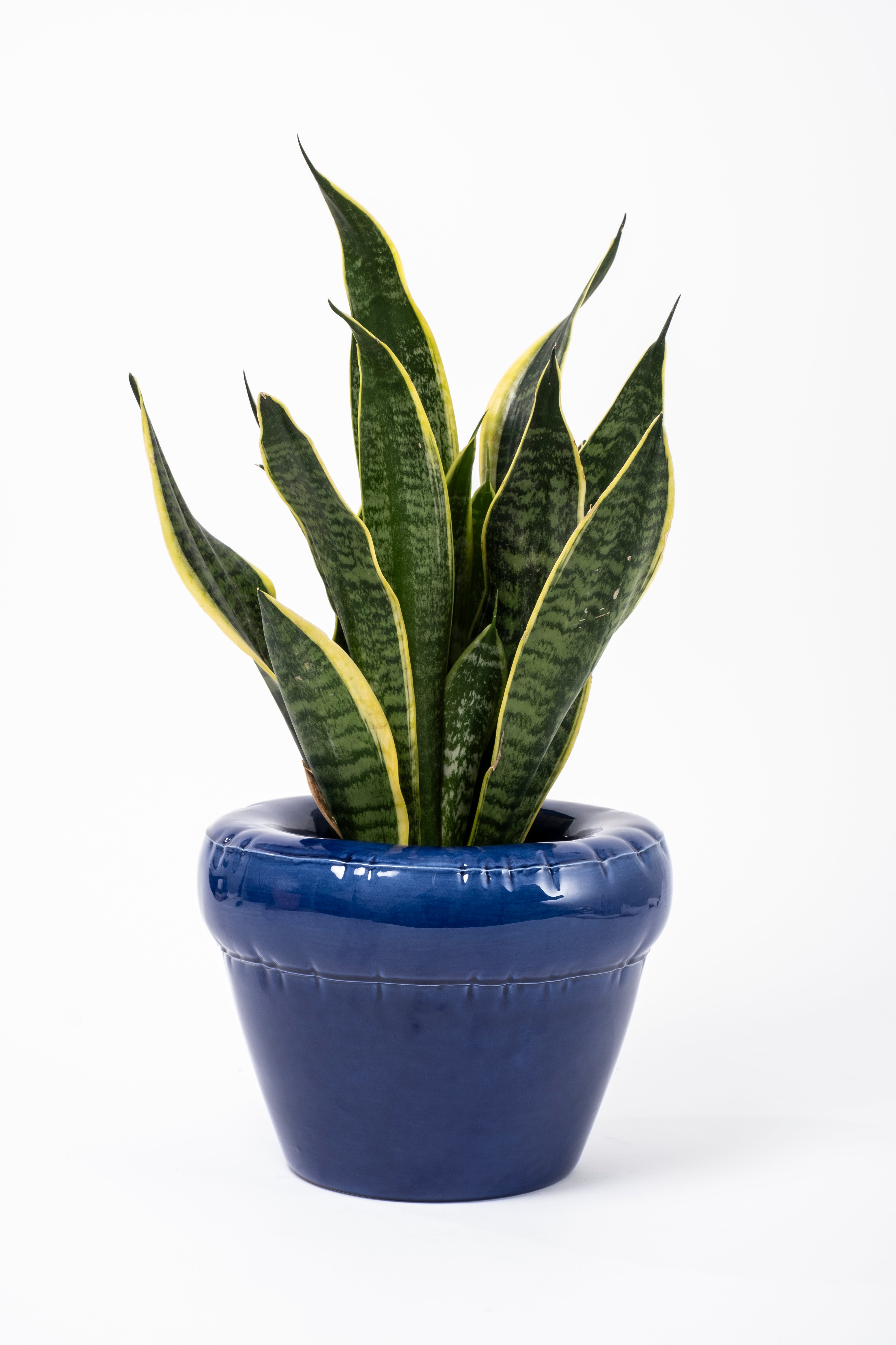 Planter 'PIERRE' Indigo Gloss